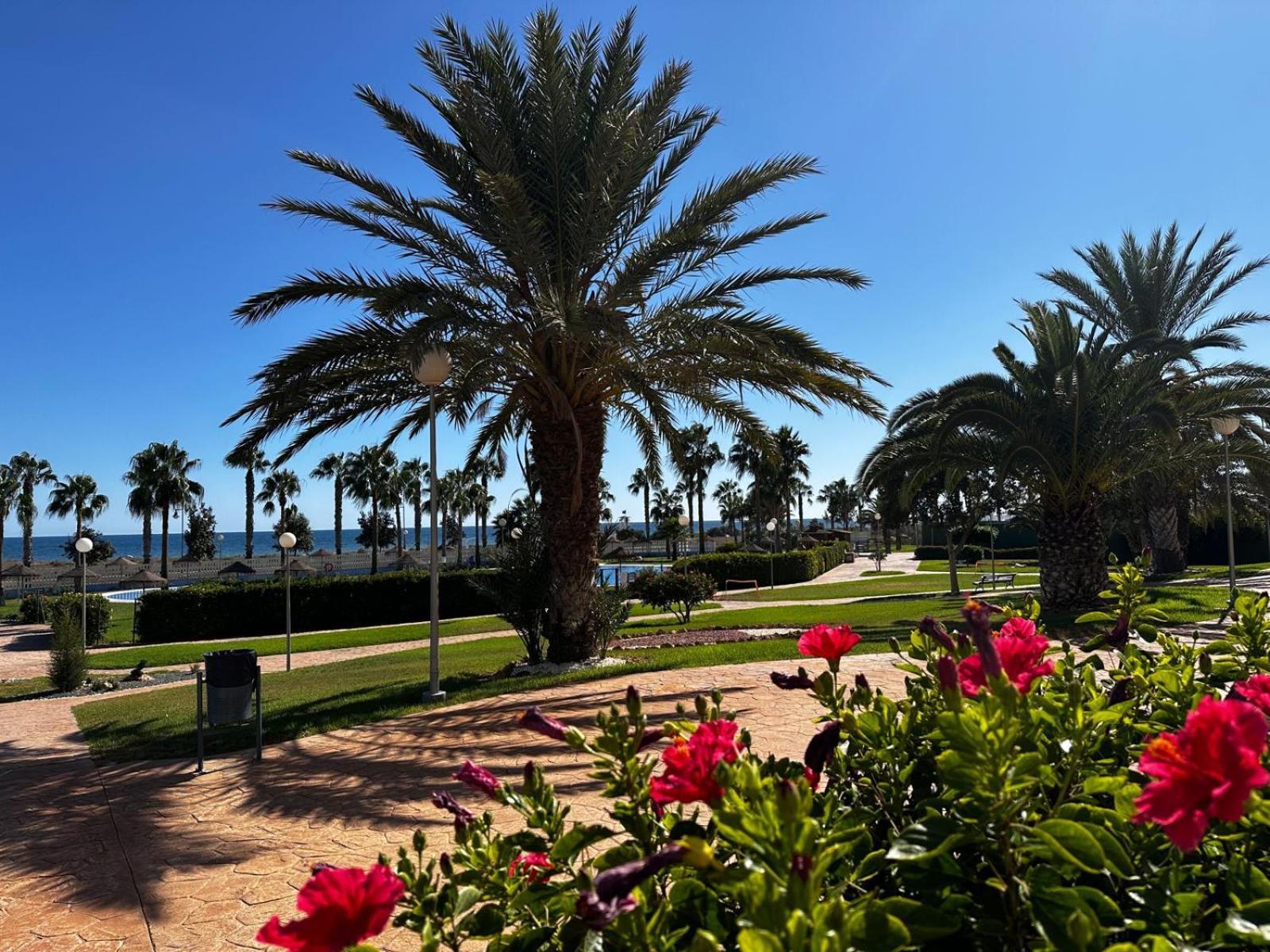 Luxurious Spacious Three Bedroom Apartment On Beachfront Almerimar Exterior foto